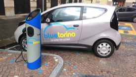 bluetorino